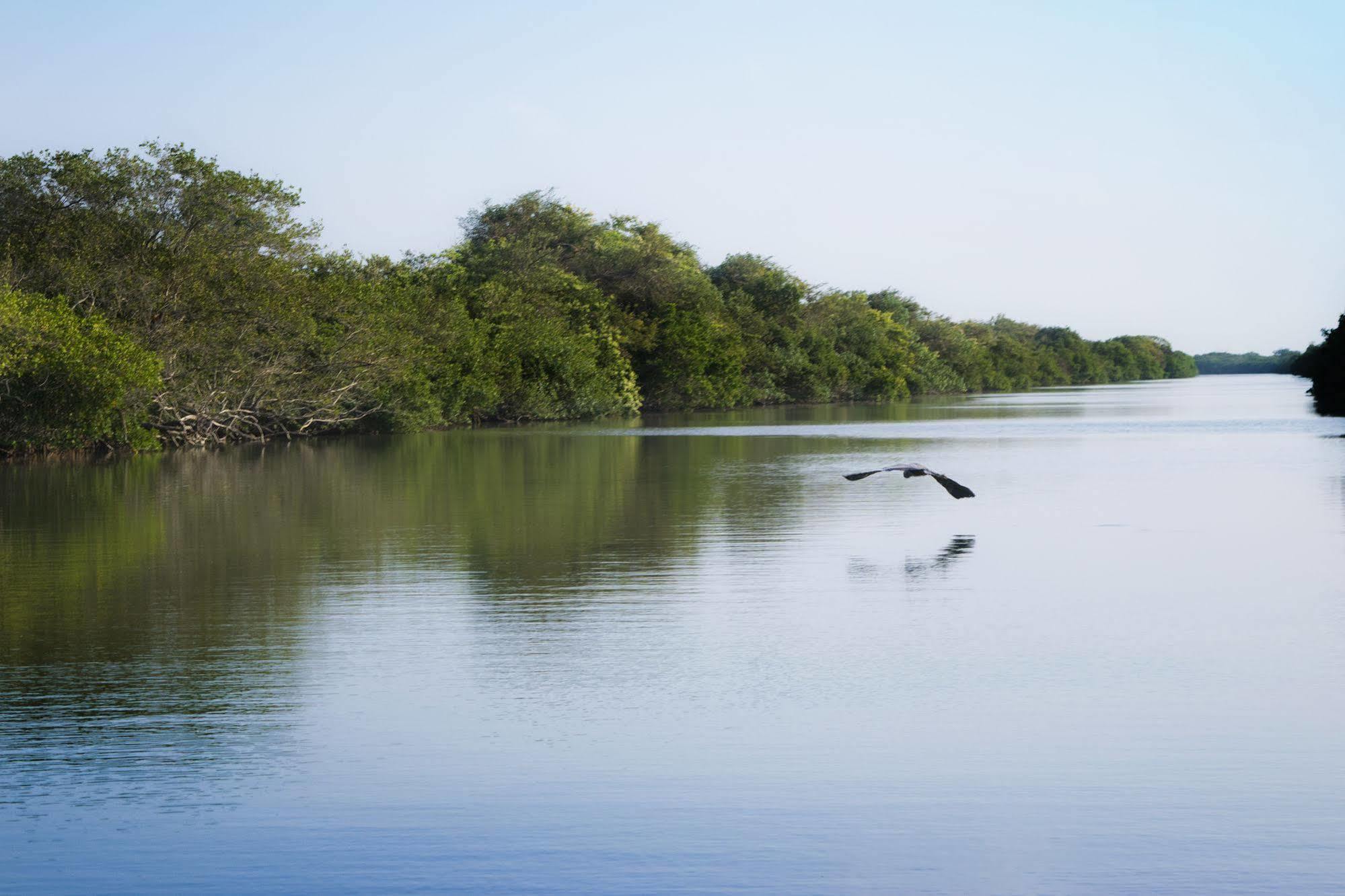 Isla Tajin Hotel Tuxpan  Buitenkant foto